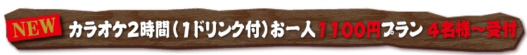 カラオケ2時間プラン